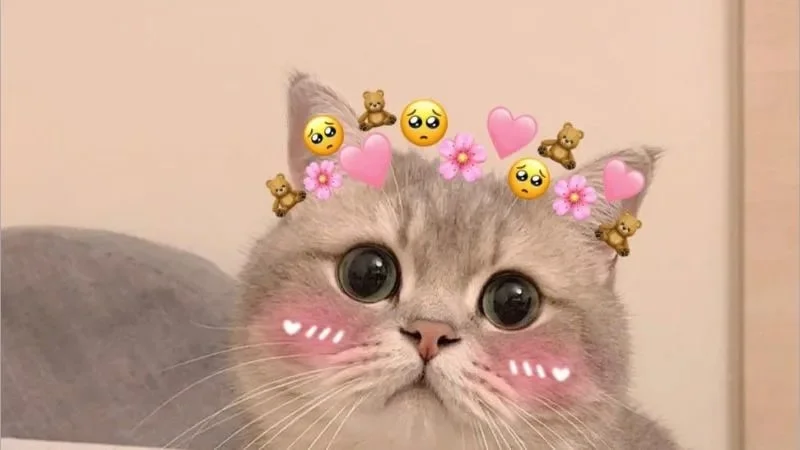 Gợi ý meme dễ thương, siêu đáng yêu (9)
