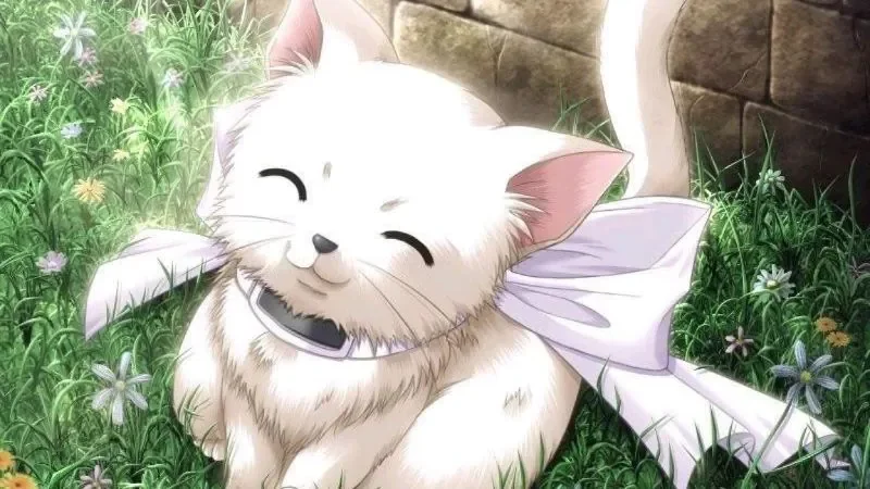 199+ meme ảnh mèo cute trái tim, ngầu, dễ thương, ngộ nghĩnh - ảnh mèo phong cách chibi, anime hay hoạt hình - hình 1