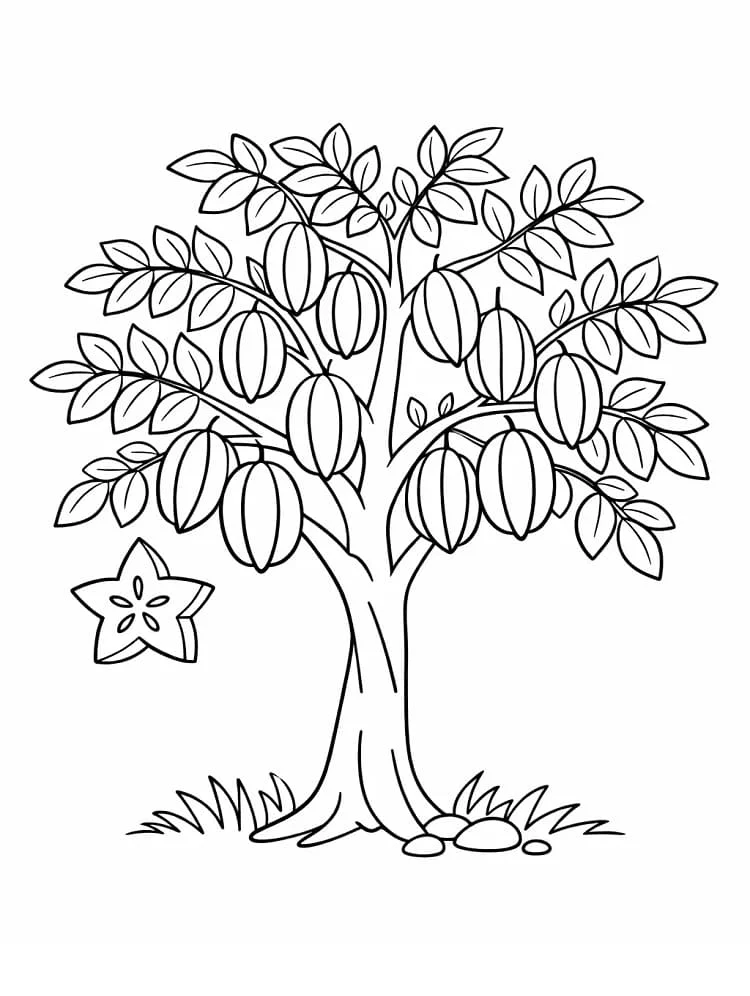 Tô Màu Cây Khế