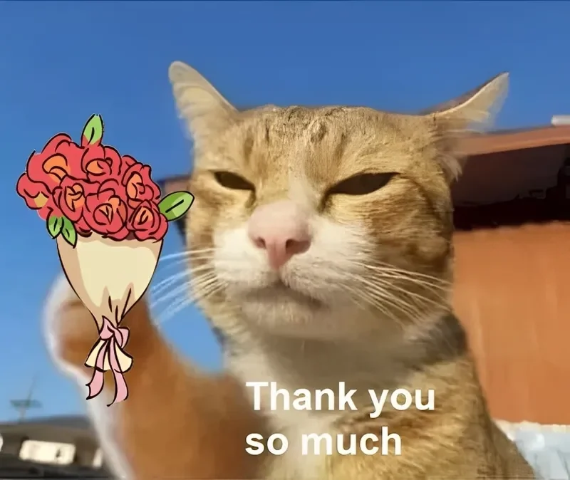 Bộ ảnh meme thank you hài hước gây bão cộng đồng mạng (2)