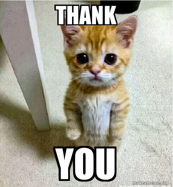 Thank You - Cute Cat Standing Meme Generator