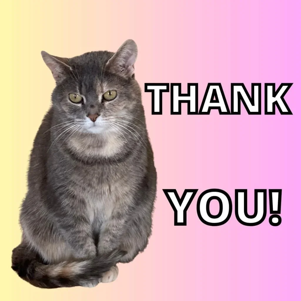 56 Cute Cat Thank You Memes (2)