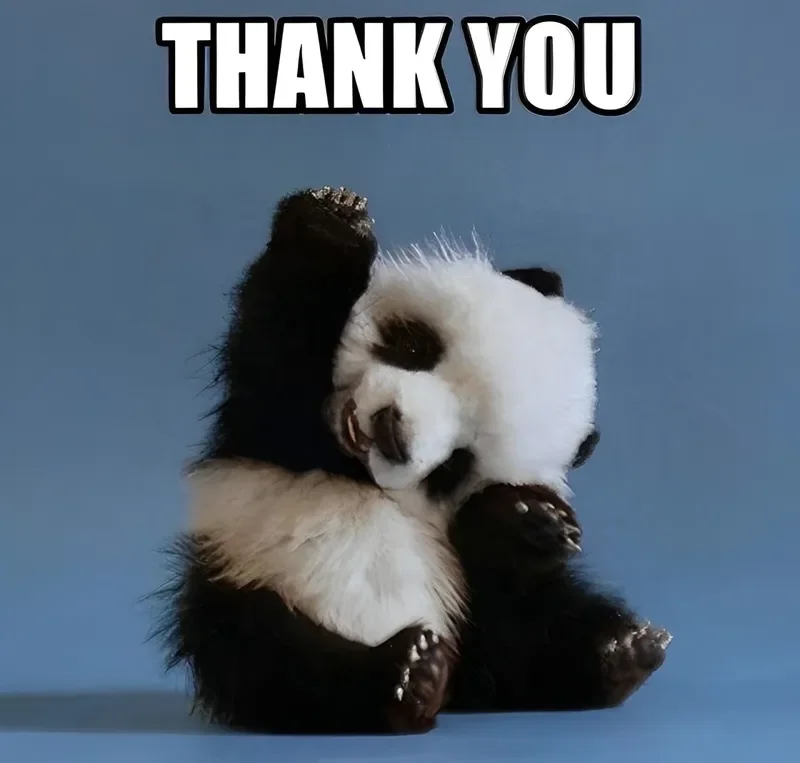 Bộ ảnh meme thank you hài hước gây bão cộng đồng mạng