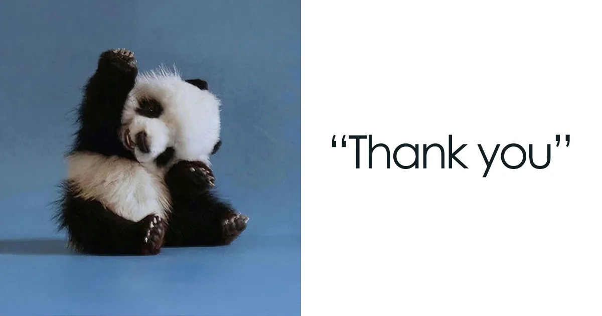 40 Thank You Memes That Are Too Funny Not To Share | Bored Panda