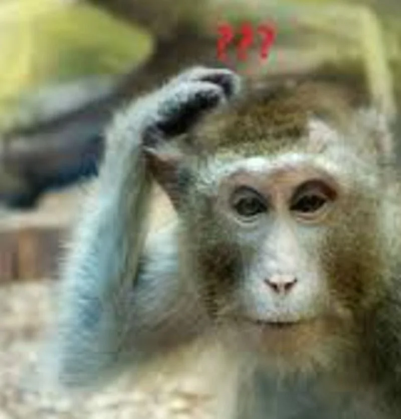 Tổng Hợp 99+ Meme Gãi Đầu Bối Rối, Ngượng Ngùng Và Khó Hiểu Hài Hước Nhất (2)