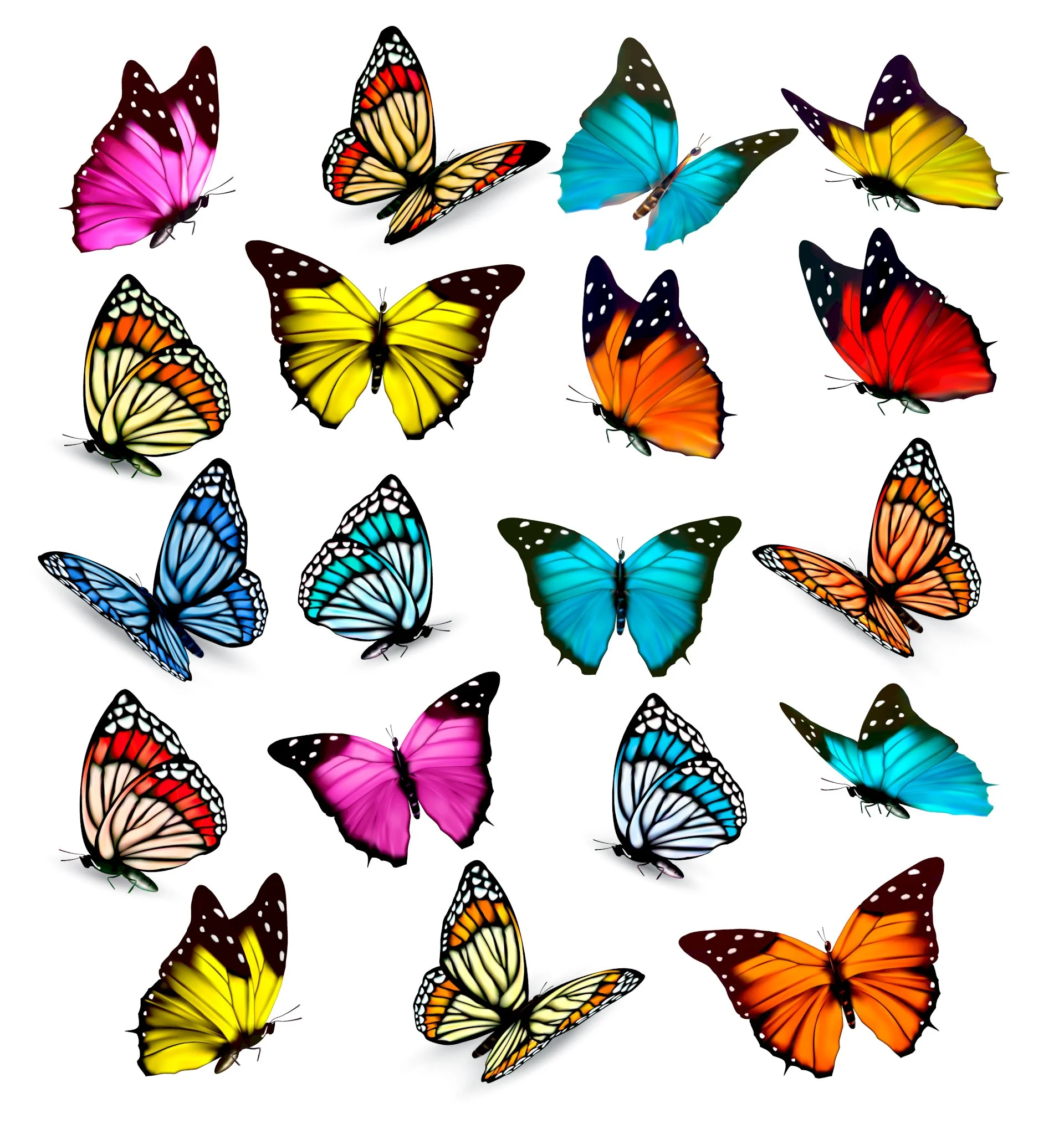 Download free vector con bướm nhiều màu đẹp mới nhất file SVG, AI, JPG, PDF, EPS, PNG