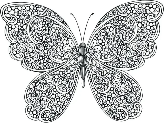 hình vẽ con bướm đẹp họa tiết Zentangle nghệ thuật đen trắng đối xứng trên nền trắng