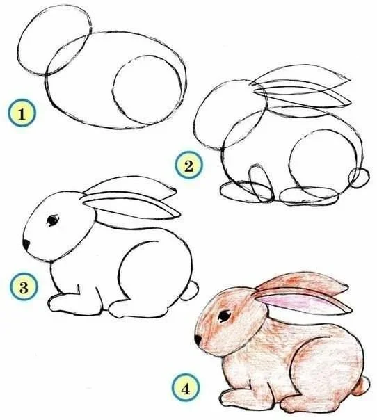 Cách vẽ con thỏ siêu đáng yêu cho bé