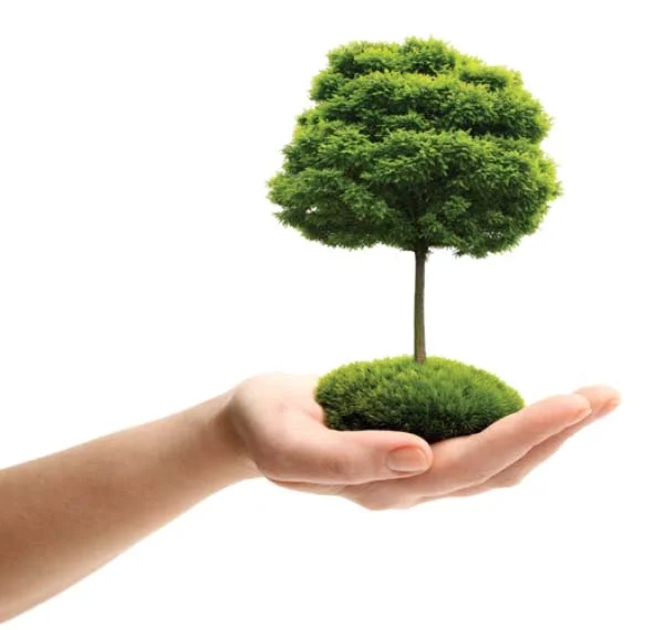 Những hình ảnh bảo vệ môi trường đẹp, ý nghĩa - Ảnh 17