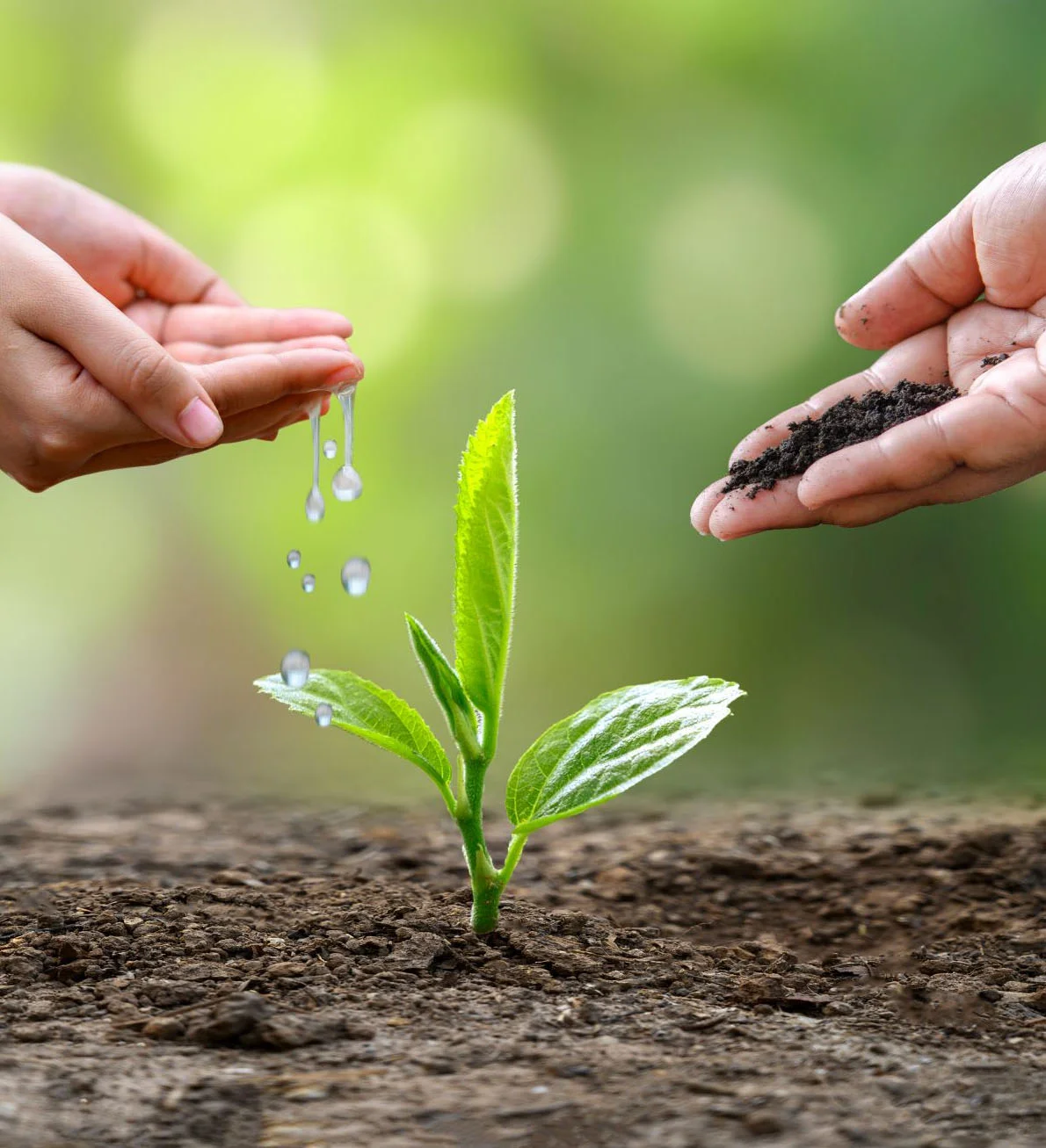 Những hình ảnh bảo vệ môi trường đẹp, ý nghĩa - Ảnh 2