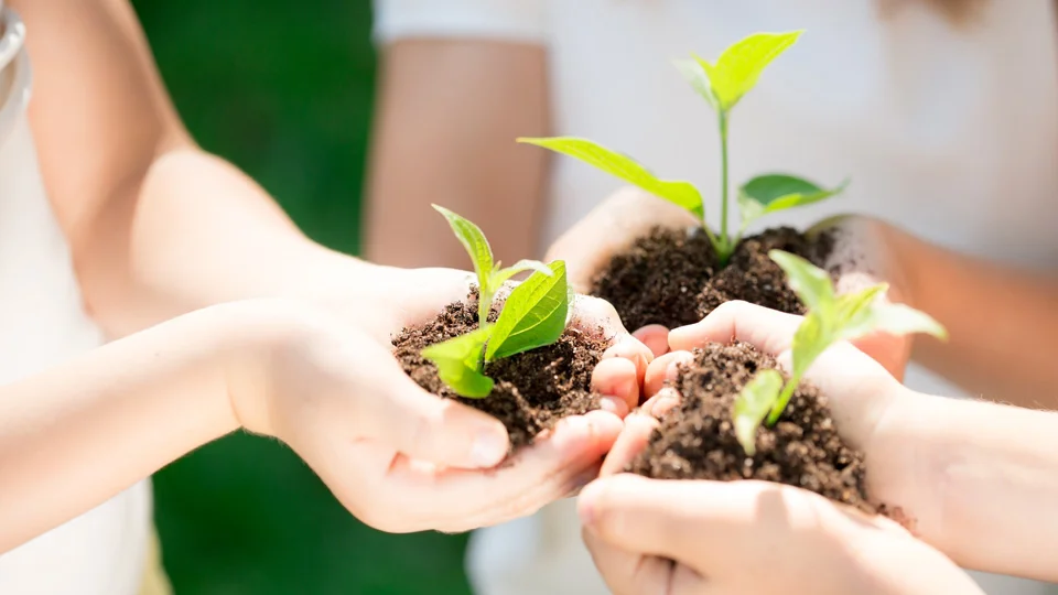 Những hình ảnh bảo vệ môi trường đẹp, ý nghĩa - Ảnh 20