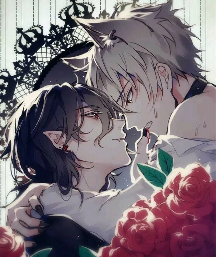 Hình ảnh anime đam mỹ lãng mạn giữa ma cà rồng và người sói với hoa hồng.