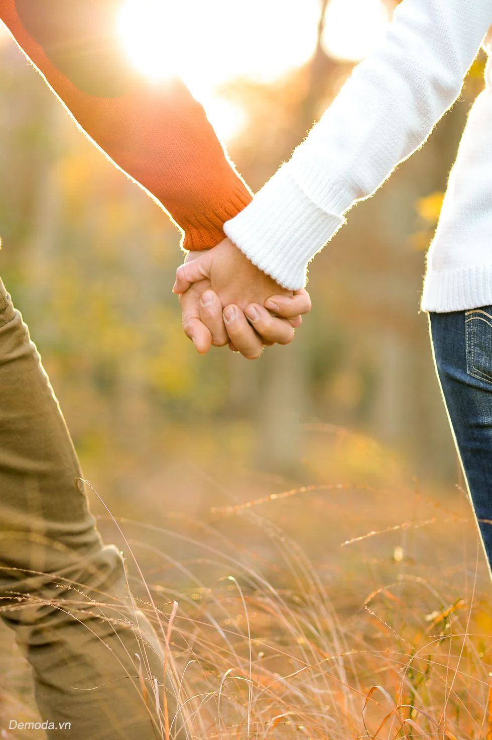 Đôi bàn tay nắm chặt dưới ánh hoàng hôn